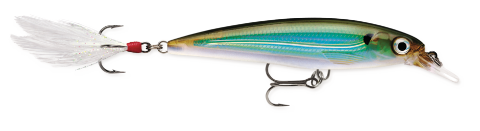 Rapala X-RAP XR10 MBS Moss Back Shiner