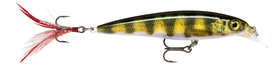 Rapala X-RAP XR10 PEL Live Perch
