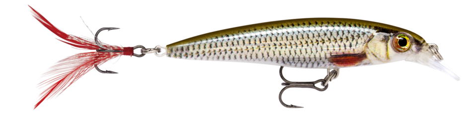 Rapala X-RAP XR10 ROL Live Roach