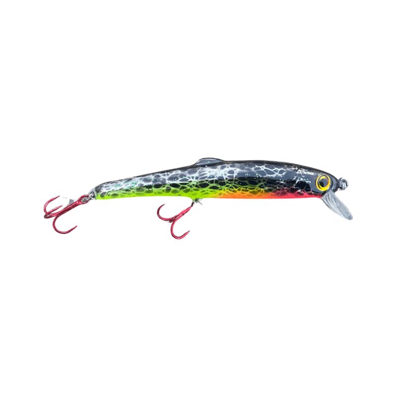 Yaleye-Fish Moon Eye Minnow