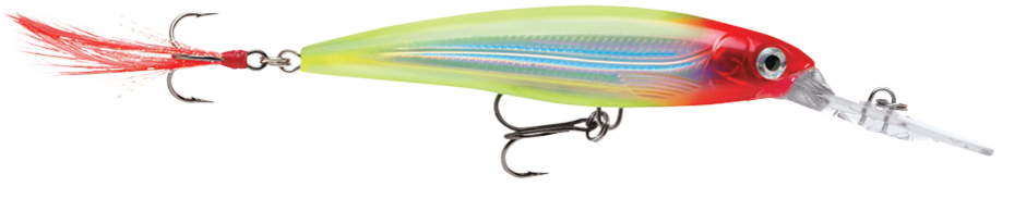 Rapala X-RAP Deep 3-1/8"